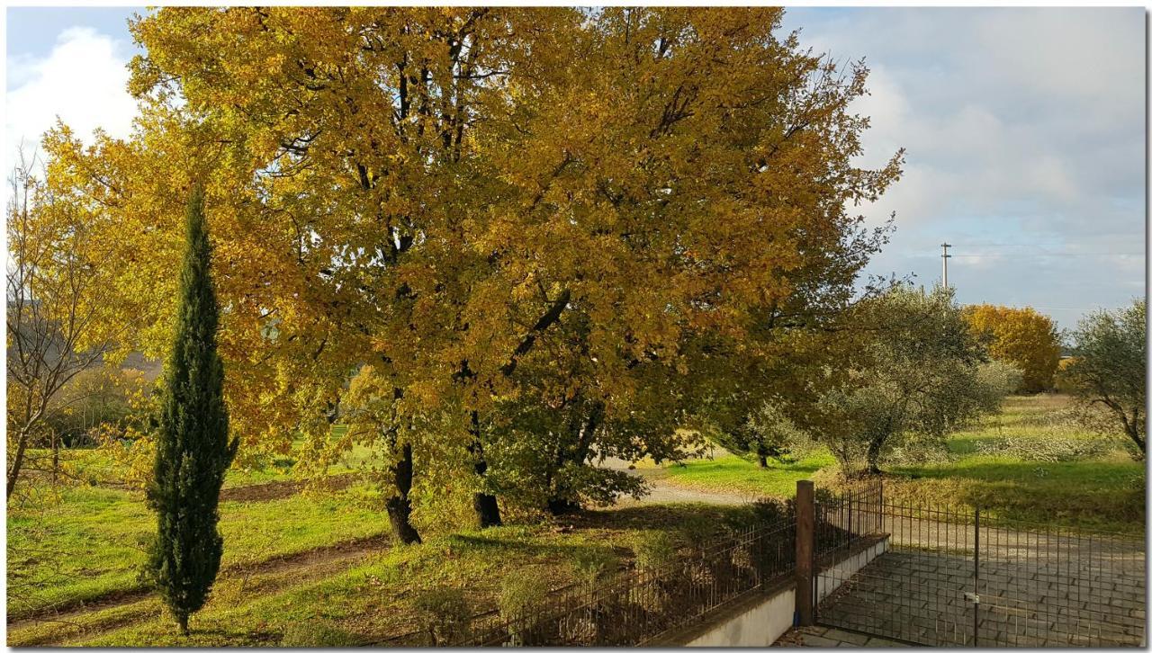 Villino Cortona - Casa Vacanze A Cortona Con Piscina Privata Wifi, Ac - Toscana - Nelle Vicinanze Perugia, Assisi, Montepulciano, Pienza, Siena Exteriér fotografie